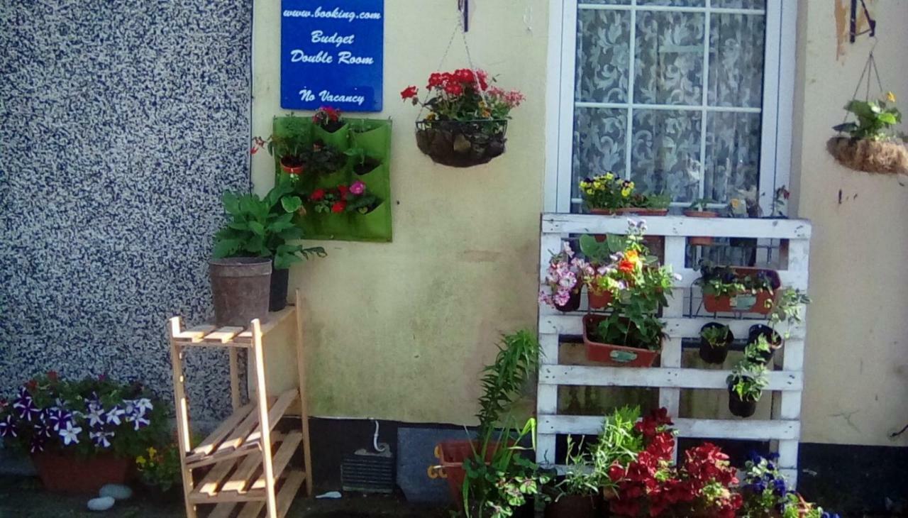 City Cottage Guest House Plymouth Luaran gambar